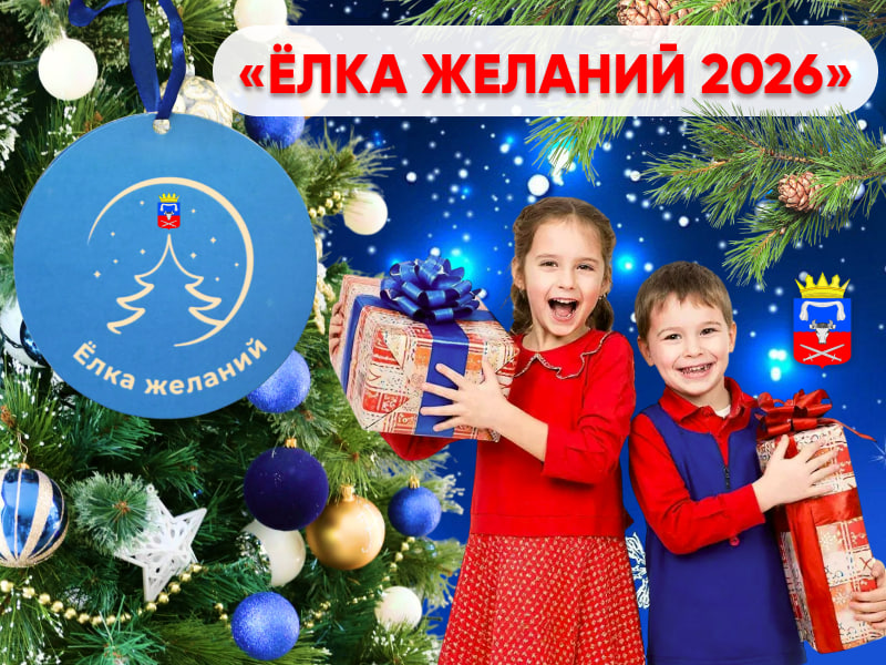 Стартовала Всероссийская акция "Ёлка желаний" Стартовала Всероссийская акция "Ёлка желаний".