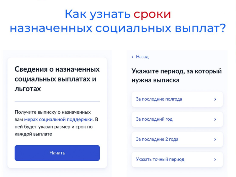 Как жителю Херсонской области узнать сроки назначенных социальных выплат.