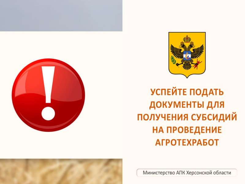 Успейте подать документы для получения субсидий на проведение агротехработ.