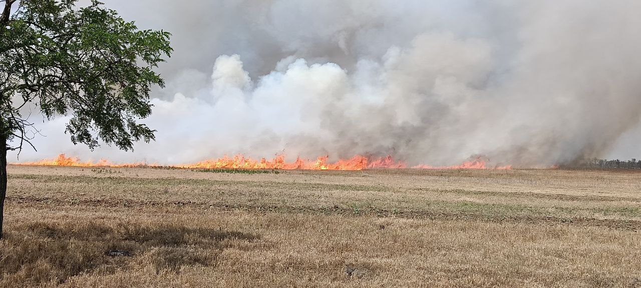 Богдановские фермеры успешно ликвидировали пожар на полях.