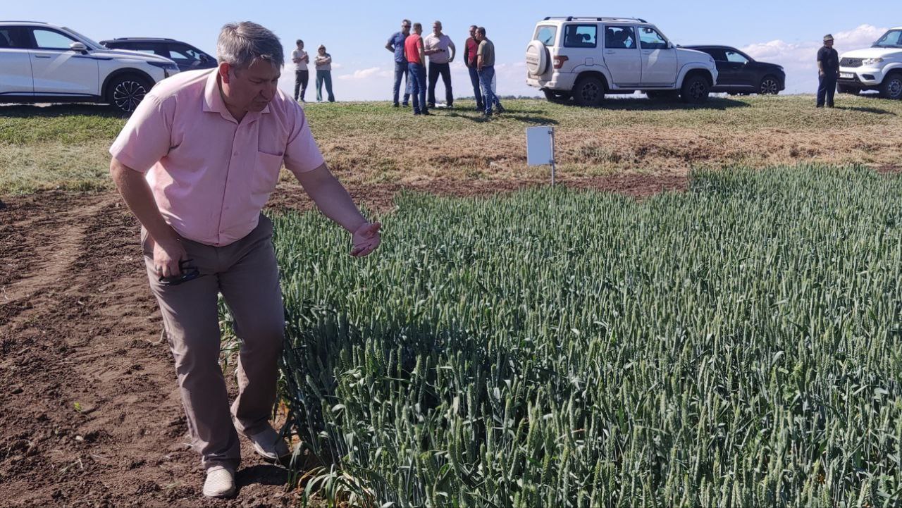 Вторая сельскохозяйственная выставка «День поля» прошла в Херсонской области в селе Тавричанка Каховского муниципального округа.