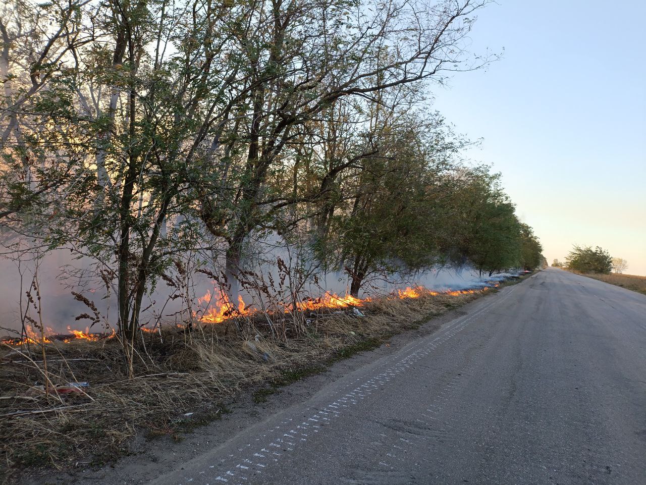 Участники СВО ликвидировали пожар возле села Коробки.