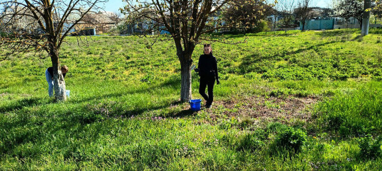 В Коробковском ТО прошел очередной субботник по побелке деревьев. В Коробковском ТО прошел очередной субботник по побелке деревьев.