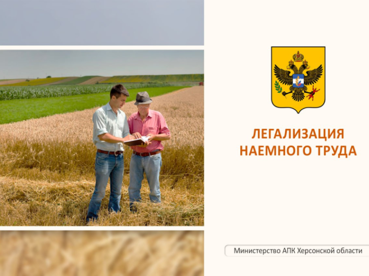 Легализация наемного труда. Легализация наемного труда.